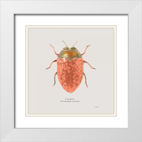 Adorning Coleoptera V Sq Camelia White Modern Wood Framed Art Print with Double Matting by Wiens, James