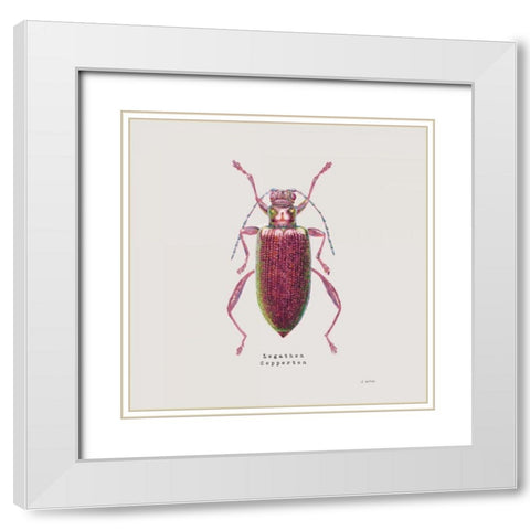 Adorning Coleoptera VI Sq Claret White Modern Wood Framed Art Print with Double Matting by Wiens, James