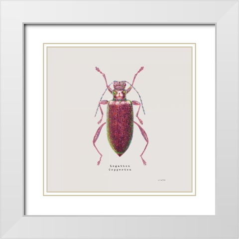 Adorning Coleoptera VI Sq Claret White Modern Wood Framed Art Print with Double Matting by Wiens, James
