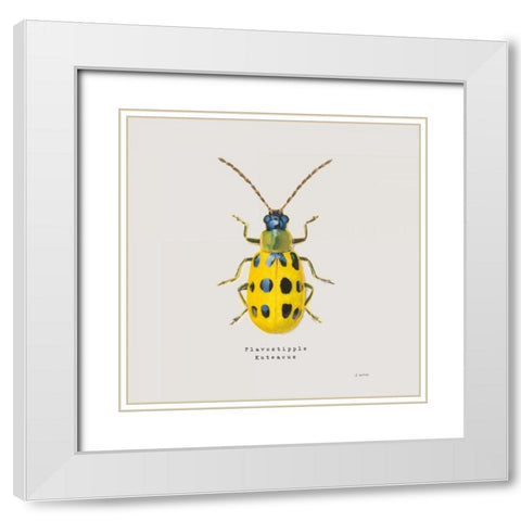 Adorning Coleoptera VII Sq Golden White Modern Wood Framed Art Print with Double Matting by Wiens, James