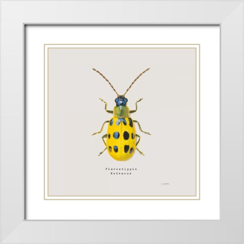 Adorning Coleoptera VII Sq Golden White Modern Wood Framed Art Print with Double Matting by Wiens, James