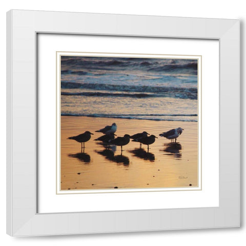 Kalaloch Birds I White Modern Wood Framed Art Print with Double Matting by Marshall, Laura