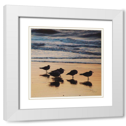Kalaloch Birds II White Modern Wood Framed Art Print with Double Matting by Marshall, Laura