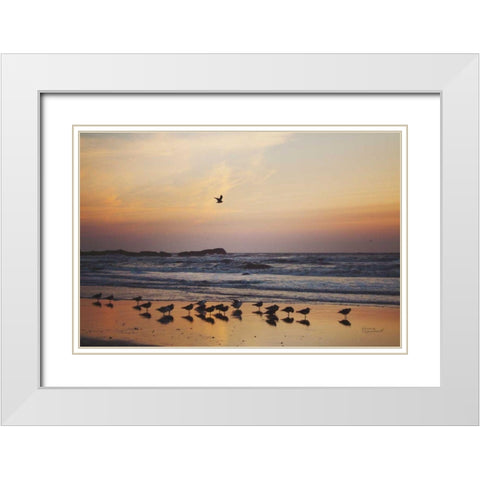 Kalaloch Birds III White Modern Wood Framed Art Print with Double Matting by Marshall, Laura