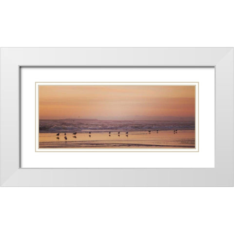 Kalaloch Birds V White Modern Wood Framed Art Print with Double Matting by Marshall, Laura