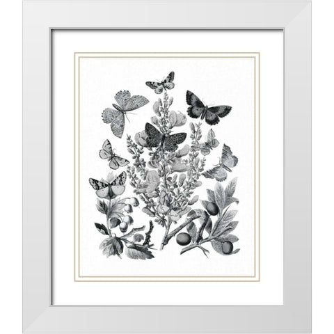 Butterfly Bouquet II Linen BW II White Modern Wood Framed Art Print with Double Matting by Wild Apple Portfolio