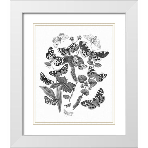 Butterfly Bouquet IV Linen BW IV White Modern Wood Framed Art Print with Double Matting by Wild Apple Portfolio
