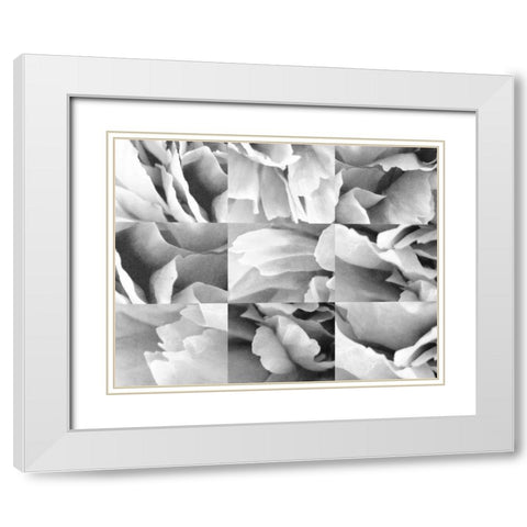 Dreamy Peony Collage White Modern Wood Framed Art Print with Double Matting by Wild Apple Portfolio