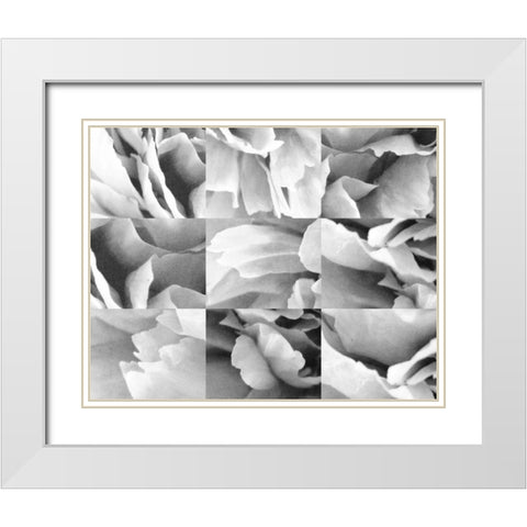 Dreamy Peony Collage White Modern Wood Framed Art Print with Double Matting by Wild Apple Portfolio