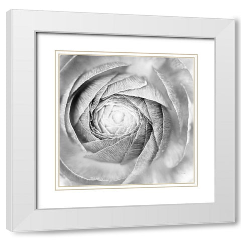 Ranunculus Abstract I BW Light White Modern Wood Framed Art Print with Double Matting by Marshall, Laura