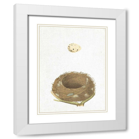 Spring Nest III White Modern Wood Framed Art Print with Double Matting by Wild Apple Portfolio