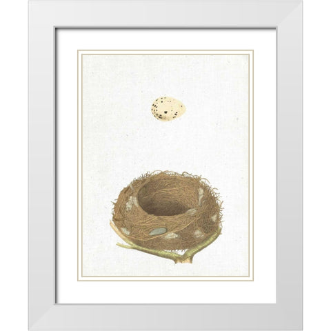 Spring Nest III White Modern Wood Framed Art Print with Double Matting by Wild Apple Portfolio