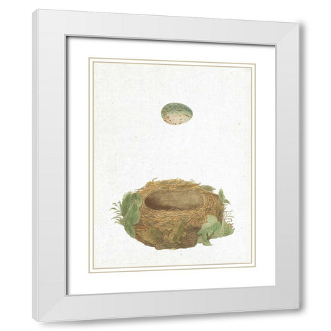 Spring Nest IV White Modern Wood Framed Art Print with Double Matting by Wild Apple Portfolio