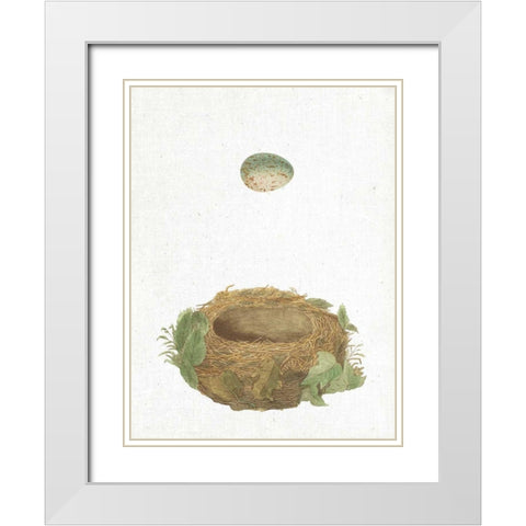 Spring Nest IV White Modern Wood Framed Art Print with Double Matting by Wild Apple Portfolio