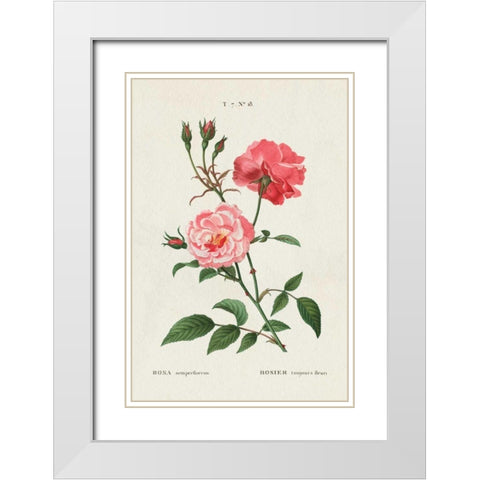 Rosa White Modern Wood Framed Art Print with Double Matting by Wild Apple Portfolio
