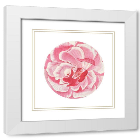 Rosa Circle White Modern Wood Framed Art Print with Double Matting by Wild Apple Portfolio