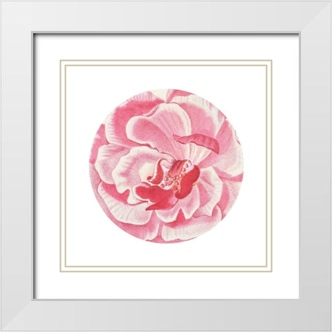 Rosa Circle White Modern Wood Framed Art Print with Double Matting by Wild Apple Portfolio
