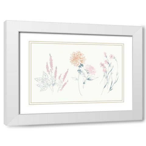 Flowers on White VIII Contemporary White Modern Wood Framed Art Print with Double Matting by Wild Apple Portfolio