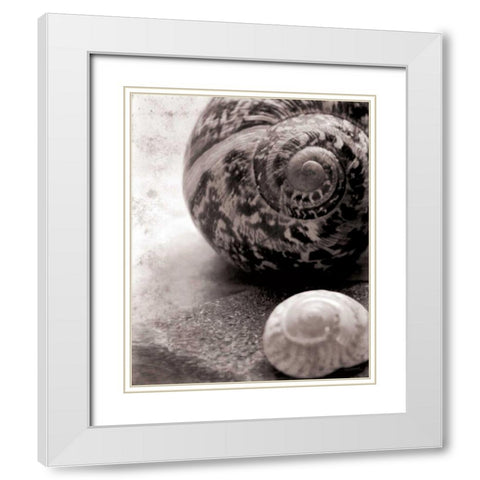 New Discoveries No Border White Modern Wood Framed Art Print with Double Matting by Schlabach, Sue