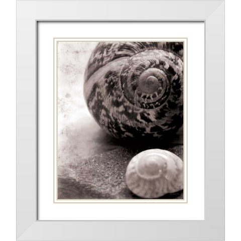 New Discoveries No Border White Modern Wood Framed Art Print with Double Matting by Schlabach, Sue