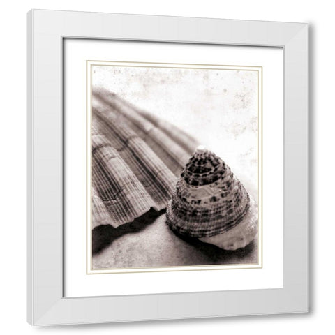 Gifts From the Sea No Border White Modern Wood Framed Art Print with Double Matting by Schlabach, Sue