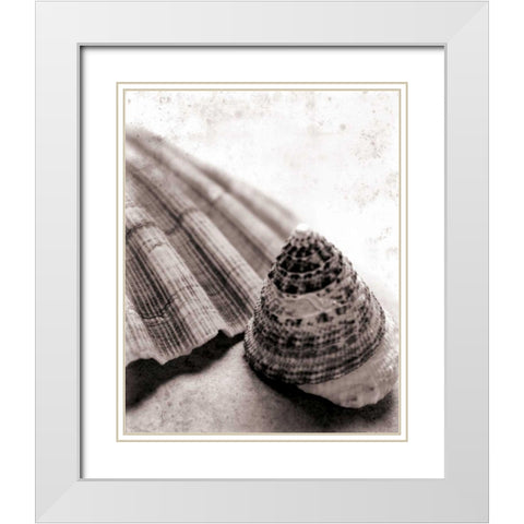 Gifts From the Sea No Border White Modern Wood Framed Art Print with Double Matting by Schlabach, Sue