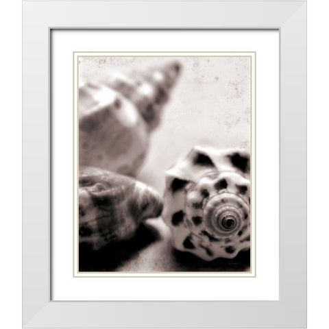 Beach Dreams Shells No Border White Modern Wood Framed Art Print with Double Matting by Schlabach, Sue