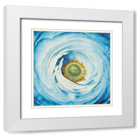 White Peony with Blue White Modern Wood Framed Art Print with Double Matting by Aledanda