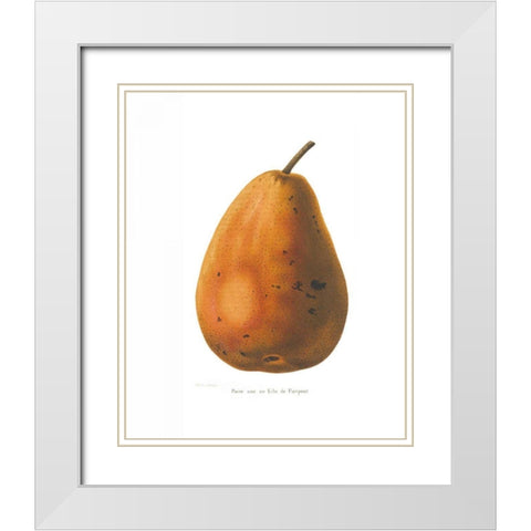 Pierpont on White White Modern Wood Framed Art Print with Double Matting by Wild Apple Portfolio
