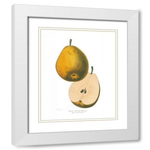 Tournay on White White Modern Wood Framed Art Print with Double Matting by Wild Apple Portfolio