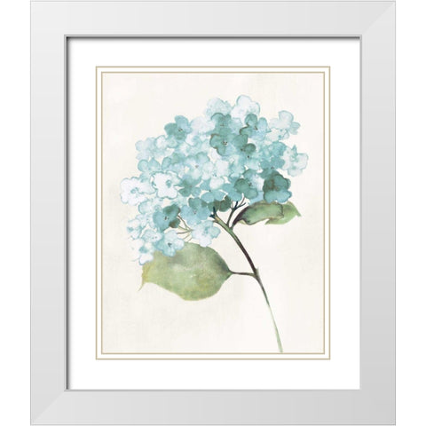 Antique Floral on Cream I Blue White Modern Wood Framed Art Print with Double Matting by Wild Apple Portfolio