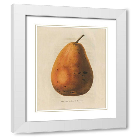 Pierpont v2 White Modern Wood Framed Art Print with Double Matting by Wild Apple Portfolio