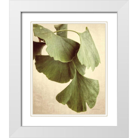Gingko Color White Modern Wood Framed Art Print with Double Matting by Van Swearingen, Debra