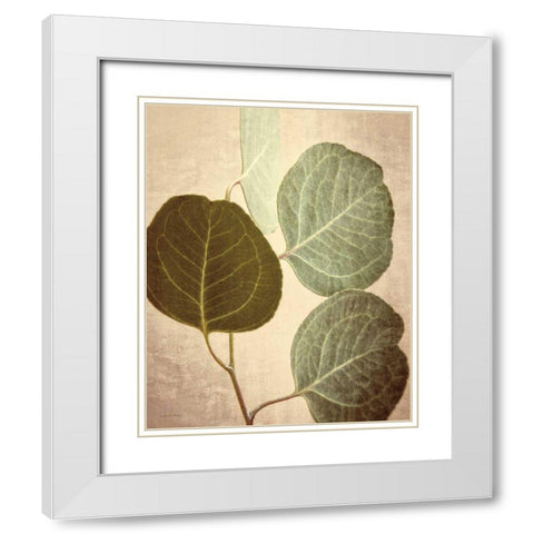 Eucalyptus Color White Modern Wood Framed Art Print with Double Matting by Van Swearingen, Debra