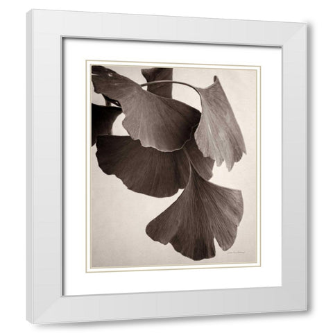 Gingko Sepia White Modern Wood Framed Art Print with Double Matting by Van Swearingen, Debra