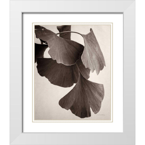 Gingko Sepia White Modern Wood Framed Art Print with Double Matting by Van Swearingen, Debra