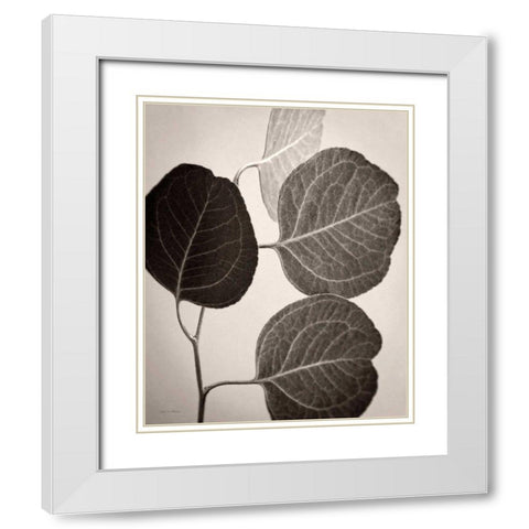 Eucalyptus Sepia White Modern Wood Framed Art Print with Double Matting by Van Swearingen, Debra