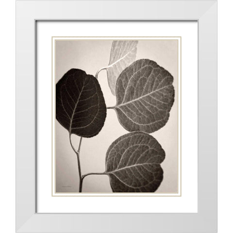Eucalyptus Sepia White Modern Wood Framed Art Print with Double Matting by Van Swearingen, Debra