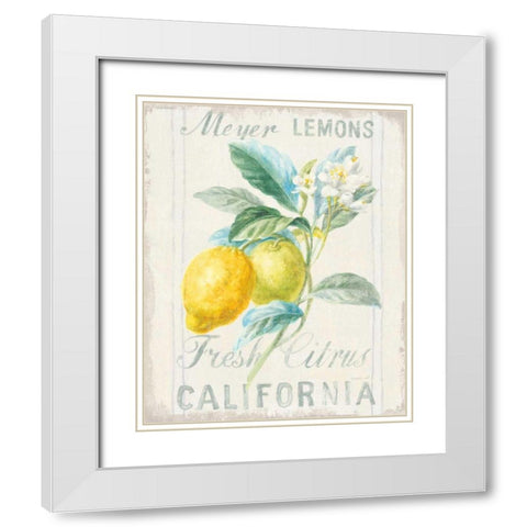 Floursack Lemon II White Modern Wood Framed Art Print with Double Matting by Nai, Danhui