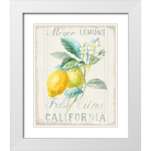 Floursack Lemon II White Modern Wood Framed Art Print with Double Matting by Nai, Danhui