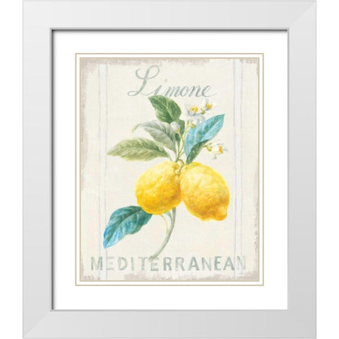 Floursack Lemon III White Modern Wood Framed Art Print with Double Matting by Nai, Danhui