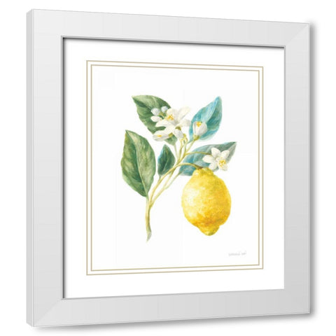 Floursack Lemon I on White White Modern Wood Framed Art Print with Double Matting by Nai, Danhui