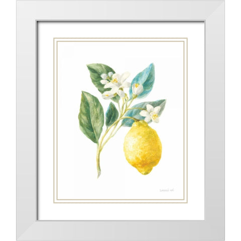 Floursack Lemon I on White White Modern Wood Framed Art Print with Double Matting by Nai, Danhui