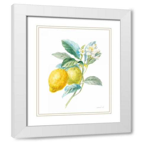 Floursack Lemon II on White White Modern Wood Framed Art Print with Double Matting by Nai, Danhui