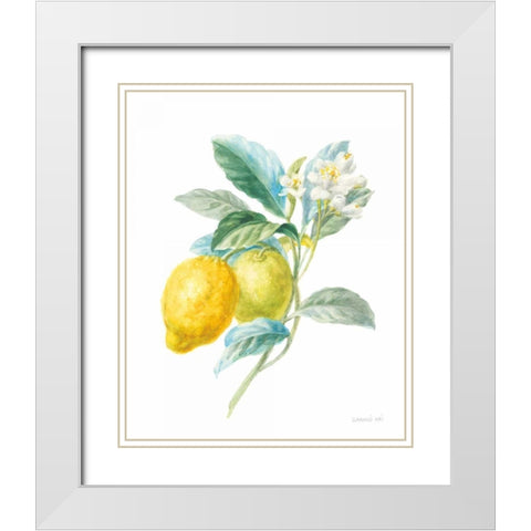 Floursack Lemon II on White White Modern Wood Framed Art Print with Double Matting by Nai, Danhui