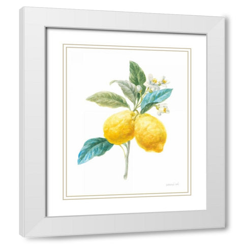 Floursack Lemon IV on White White Modern Wood Framed Art Print with Double Matting by Nai, Danhui