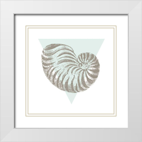 Conchology Sketches II White Modern Wood Framed Art Print with Double Matting by Wild Apple Portfolio