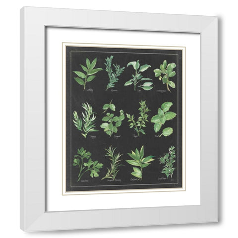 Herb Chart on Black White Border White Modern Wood Framed Art Print with Double Matting by Paschke, Chris