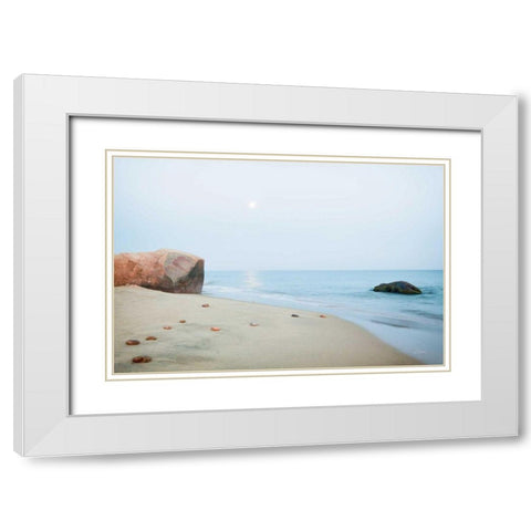 Coastal Rocks White Modern Wood Framed Art Print with Double Matting by Aledanda