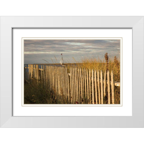 Along the Fence I White Modern Wood Framed Art Print with Double Matting by Aledanda